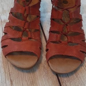 earth origins harley